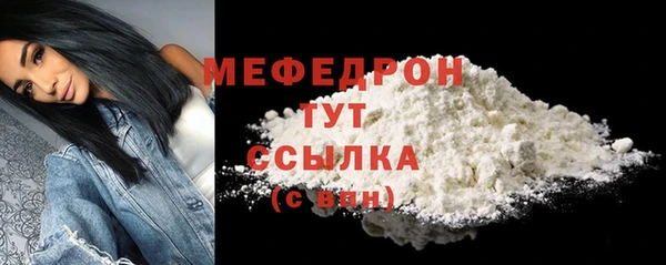 шишки Няндома