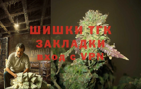 шишки Осинники