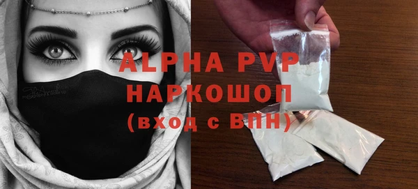 шишки Няндома