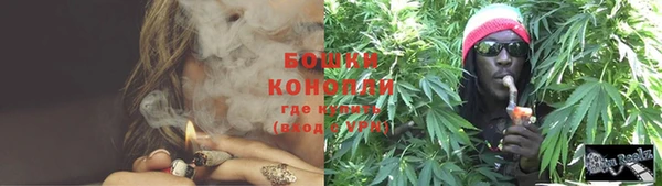 шишки Осинники