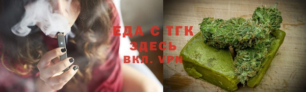 шишки Няндома