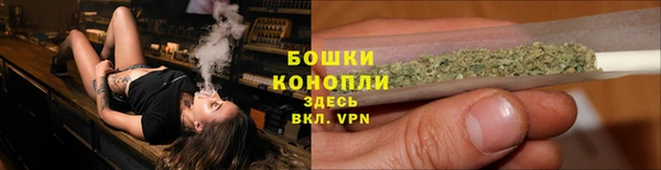 шишки Няндома