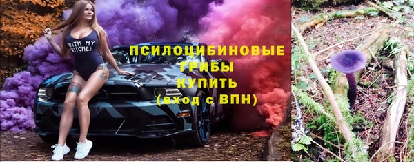 прущие крисы Нязепетровск