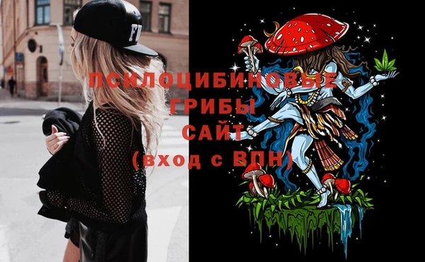 шишки Осинники
