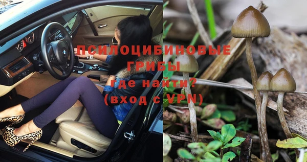 шишки Осинники