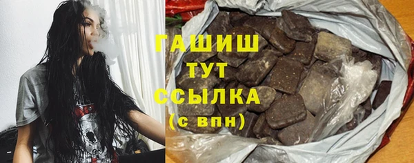 шишки Няндома