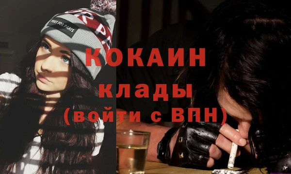 шишки Осинники