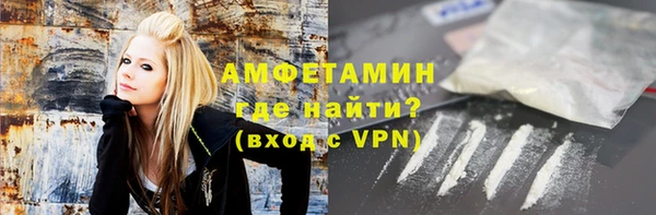 шишки Осинники
