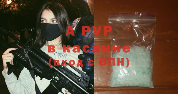 шишки Осинники
