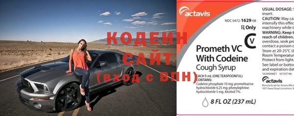 шишки Осинники