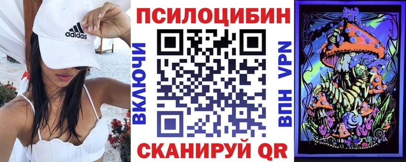 Псилоцибиновые грибы Cubensis  Навашино 